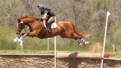 What are the different types of jumps in cross-country riding?