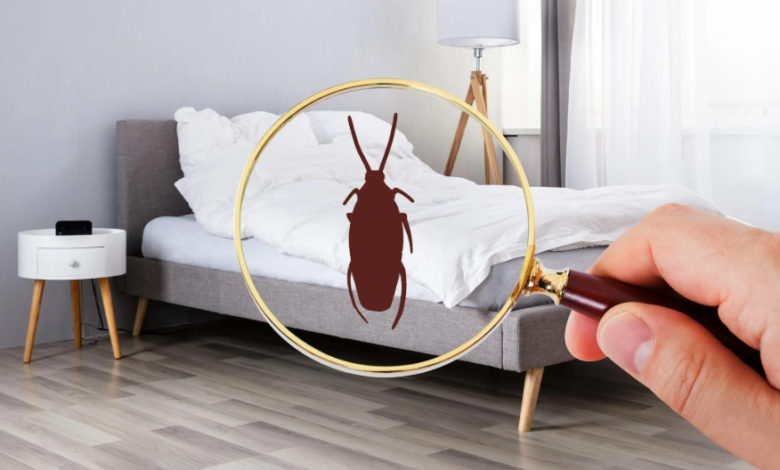 How to Avoid Bed Bugs While Traveling: Hotel Safety Guide