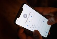 support hotline numbers listed