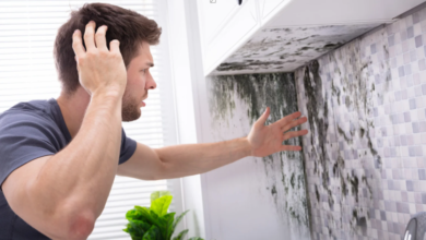 How Mold Remediation Prevents Structural Damage in Your Home