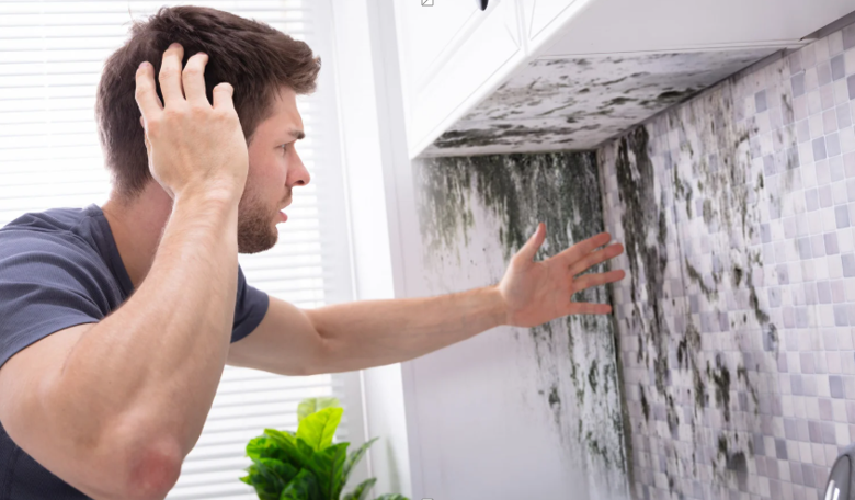 How Mold Remediation Prevents Structural Damage in Your Home