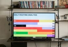 identified patterns in numbers