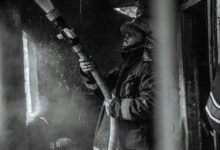 risk analysis and market insights