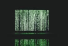 significant numerical identifiers listed