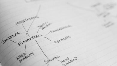 business growth stability plan