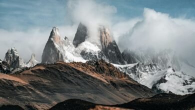 roi conversion optimization route