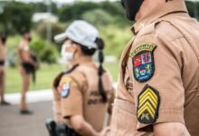 search engine rankings authority