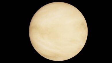 dynamic polaris orbit path