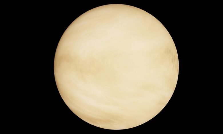 dynamic polaris orbit path