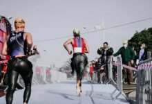 growth transition performance model