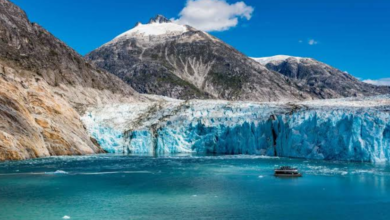 Alaska Cruises